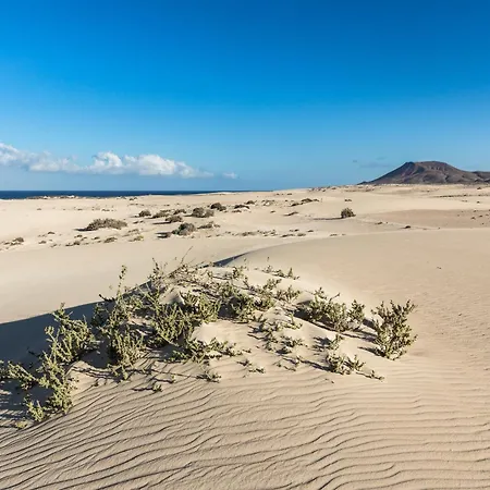 Home2book Luxury Pool & Terrace, 别墅 *