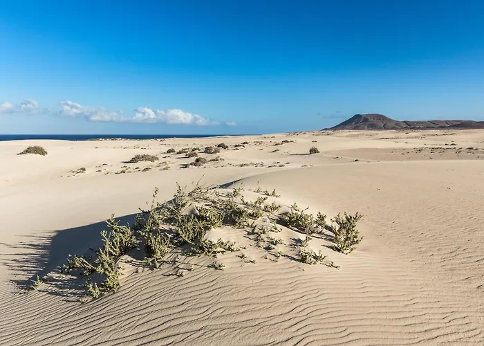 Home2book Luxury Pool & Terrace, Villa *